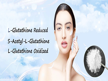 Does S Acetyl L Glutathione Powder Have Better Absorption In The Body?